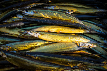 Smoked Fish Sprats