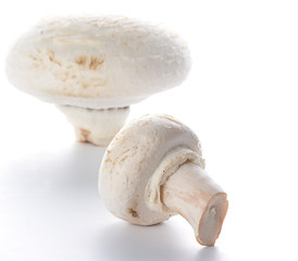 Button mushrooms on white background with reflection