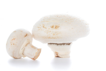 Button mushrooms on white background with reflection