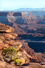 Dead Horse Point State Park Utha