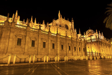 Fototapeta na wymiar West facade of Seville's Cathedral at night. Spain