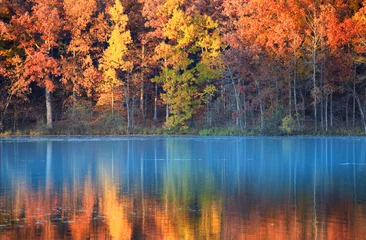 Washable wall murals Autumn autumn reflections