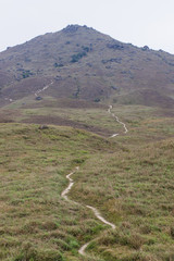 Path to summit