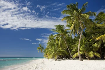 Fotobehang DOMINICAN REPUBLIC, BEACH OF SAONA ISLAND © s4svisuals
