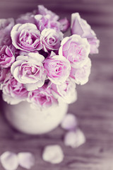 Pastel roses
