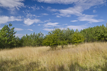 Sunny Blue Sky, Meadow and a hills near the village Katselovo