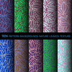 TEN PATTERN BACKGROUNDS NATURE LEAVES TEXTURE