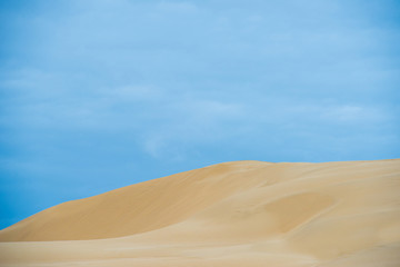Fototapeta na wymiar Desert footprints