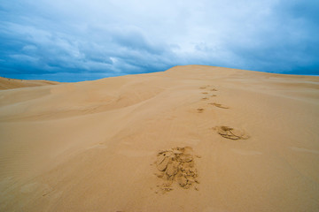 Desert footprints