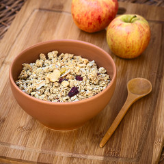 Bowl of oatmeal cereal with almonds, dried apple, cranberry