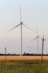 Fototapeta premium A wind farm in the wide spread field