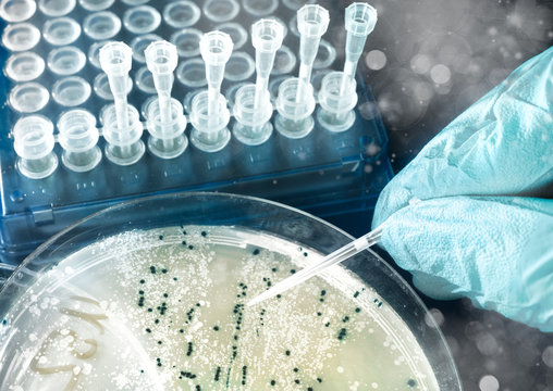 รูปภาพMicrobal – เลือกดูภาพถ่ายสต็อก เวกเตอร์ และวิดีโอ93 | Adobe Stock