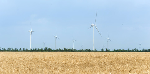 A wind farm in the wide spread field