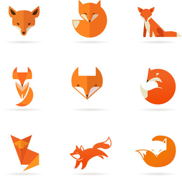 Fox icons, illustrations and elements