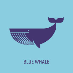 whale icon on the blue baground