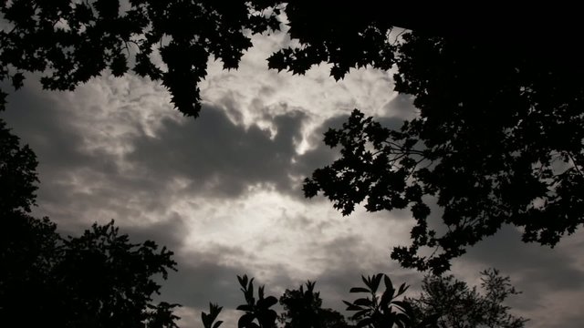 Gloomy Spooky Dark Sky With Trees 2