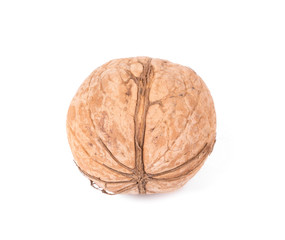 Whole walnut.