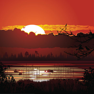 Nature sunset background