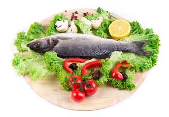 Fresh seabass fish