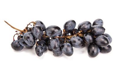 Branch of black ripe grapes.