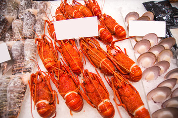 Australian lobster © superjoseph