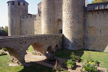 cité de carcassonne (5)