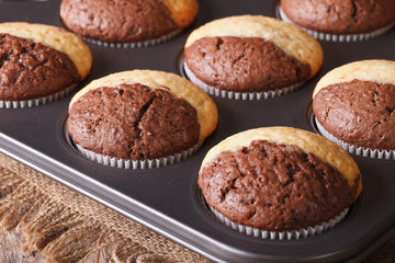 chocolate muffins in baking dish from the oven macro. Horizontal
