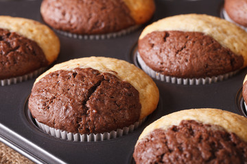 two-color chocolate muffins in baking dish macro, horizontal