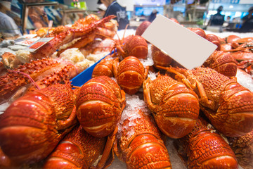 Australian lobster © superjoseph