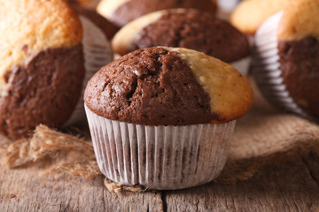 beautiful two-tone chocolate muffins close-up, horizontal