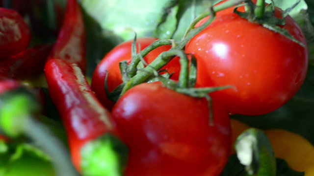 vegetables, close-up
