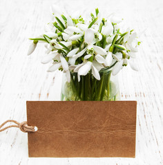 Snowdrops with card