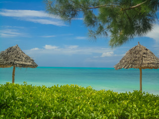 Jambiani beach at Zanzibar, Tanzania