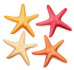 Realistic Colorful Starfish Set in White Background - obrazy, fototapety, plakaty