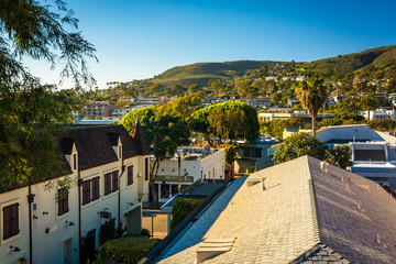 Obraz premium Evening view of buildings and hills in Laguna Beach, California.