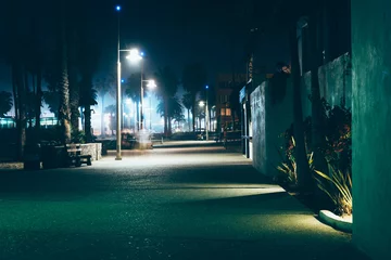 Foto auf Acrylglas The Oceanfront Walk at night, in Santa Monica, California. © jonbilous