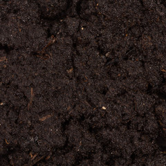Garden beds of fertile soil close-up