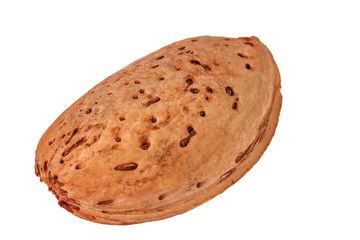 Almond isolated on a white background