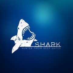 Shark concept