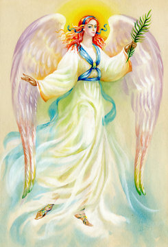 Beautiful angel with wings on white background
