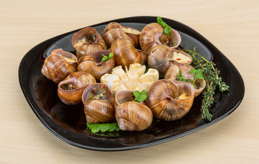 Escargot