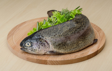 Raw fresh trout