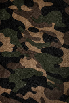 Texture of a camouflage