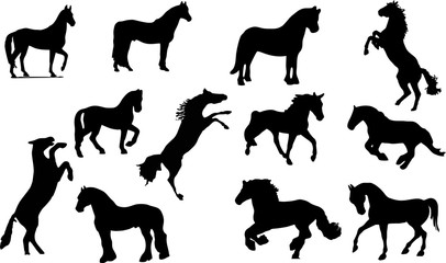 Horse silhouette.