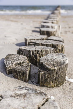 Bunen aus Holz - unsch&auml;rfe