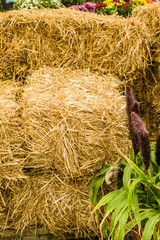 Bales of hay or straw
