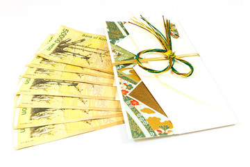 Korea money wit Gift envelope on white background