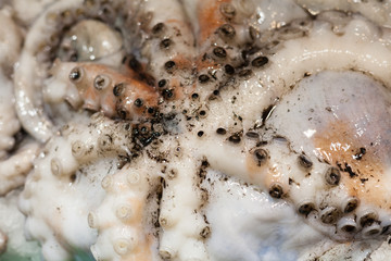 Full frame of octopus for sale at market, La Boqueria Market