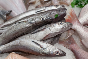 Heap of frozen mackerels for sale at a market, La Boqueria