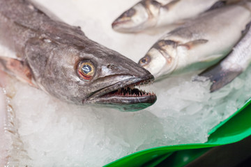Display frozen fishes for sale at a market, La Boqueria Market